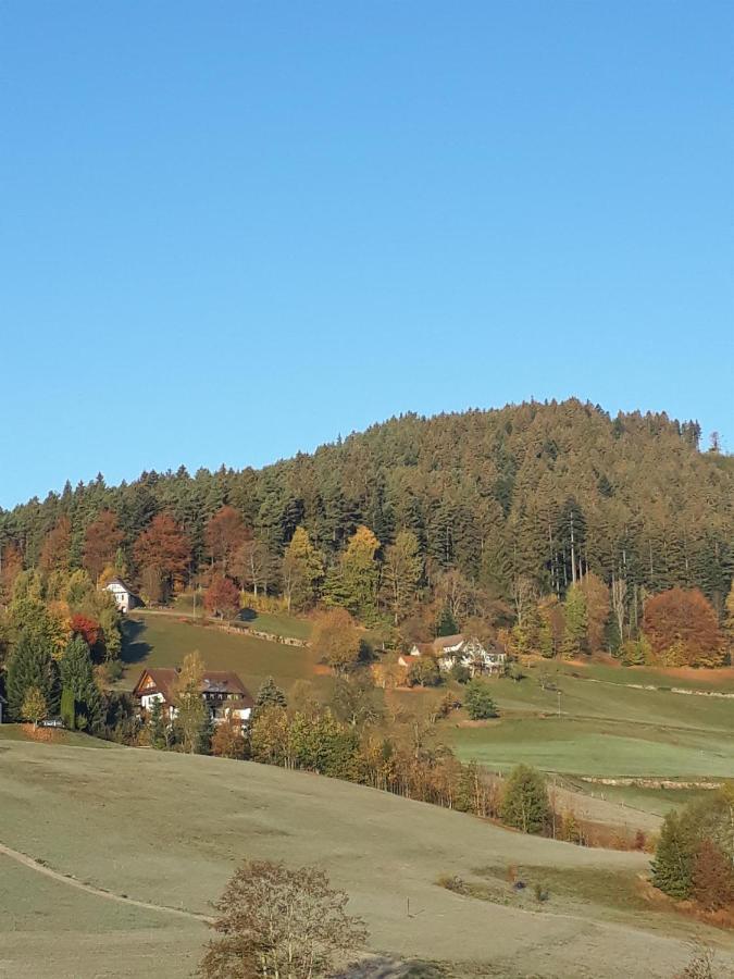 Isoldes Landhaus Baiersbronn Luaran gambar