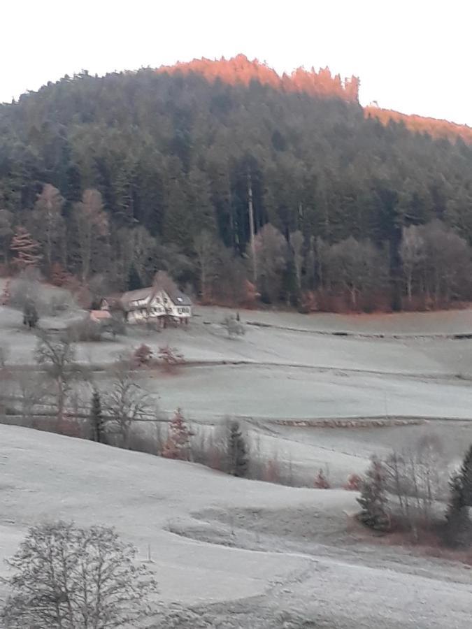 Isoldes Landhaus Baiersbronn Luaran gambar