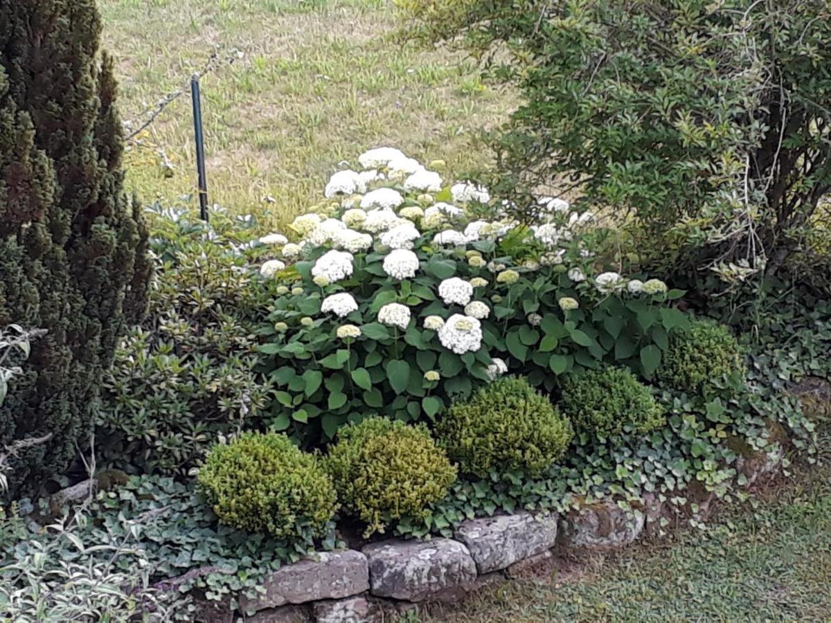 Isoldes Landhaus Baiersbronn Luaran gambar