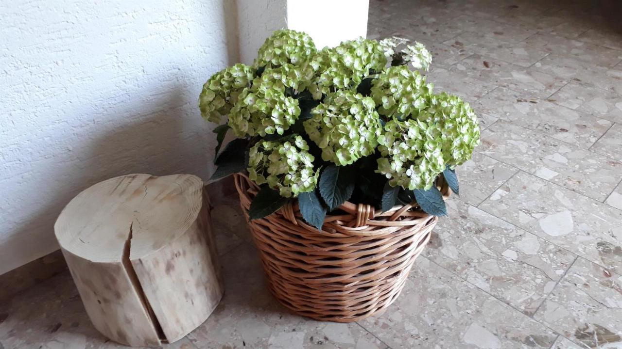 Isoldes Landhaus Baiersbronn Luaran gambar
